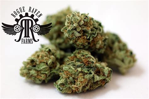 rolex cannabis price|Rollex OG Kush Weed Strain Information .